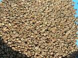 100% arabica (THA1, catimor) Export Roasted Coffee Beans Roasted Beans - photo 1