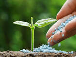 Agricultural fertilizante urea n46% 46% 46-0-0 granular urea fertilizer bulk 50kg per bag - фото 1