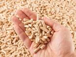 Alfalfa pellets - photo 1