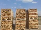 Apple tree firewood - фото 3
