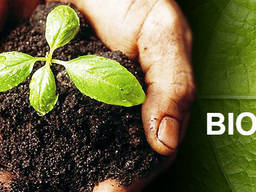 Biohumus / Vermicompost / Natural fertilizer