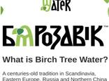 Birch juice, 100% natural, PET bottle. Сок березовый, 100% натуральный, ПЭТ-бутылка - фото 2