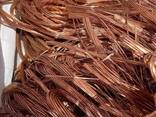 Bulk Scrap Copper Wire with Low Price Copper Wire Scrap 99.9% - photo 1