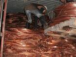 Bulk Scrap Copper Wire with Low Price Copper Wire Scrap 99.9% - photo 3