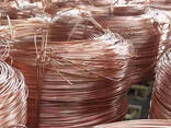 Bulk Scrap Copper Wire with Low Price Copper Wire Scrap 99.9% Purity Grade 1 Red Copper Wi - photo 2