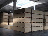 BZSPlus TG cement-bonded particleboards - photo 1