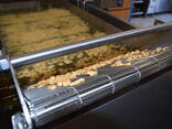 Continuous fryer 400/1100/12 - photo 9