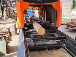Disc sawmill WoodVer 2-600
