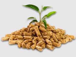 ENA1 Wood Pellets, pine, spruce etc