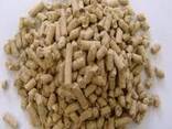 Total Nutrition Feed - Boosting Vitality from Chick to Cow - фото 2