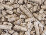 ENplus pine wood pellets