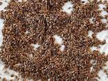 Flaxseed - фото 1