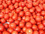 Fresh tomatoes - photo 1