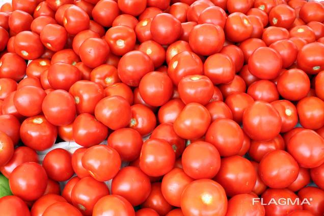 Fresh tomatoes