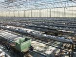 Fully equipped greenhouse for year-around farming - photo 5