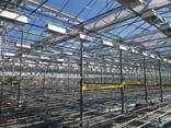 Fully equipped greenhouse for year-around farming - photo 7