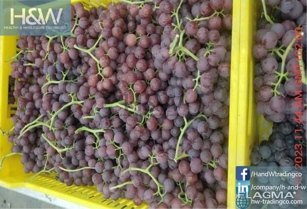 Grapes