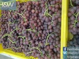 Grapes
