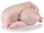 Halal Frozen Chicken parts/ Frozen Chicken wings/ Halal Frozen Chicken feet's - photo 1