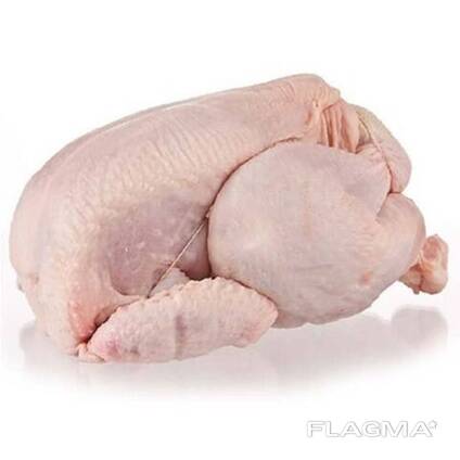 Halal Frozen Chicken parts/ Frozen Chicken wings/ Halal Frozen Chicken feet's