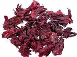 Hibiscus - фото 2