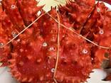 High Quality Red King Frozen King Crabs For Sale best price cheap good quality king crabs - фото 2