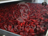 Инфракрасная сушильная камера для продуктов питания Sukhoviy - фото 4