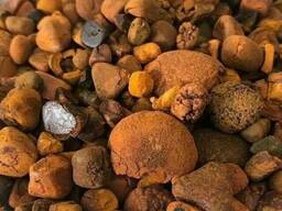 Natural Cattle/Ox Gallstones
