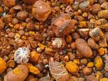 Natural Cattle/Ox Gallstones - фото 3
