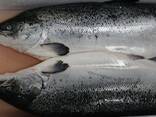 Norwegian salmon - фото 2