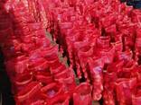 Onion - photo 2