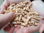 Топливные пелеты - фото 1