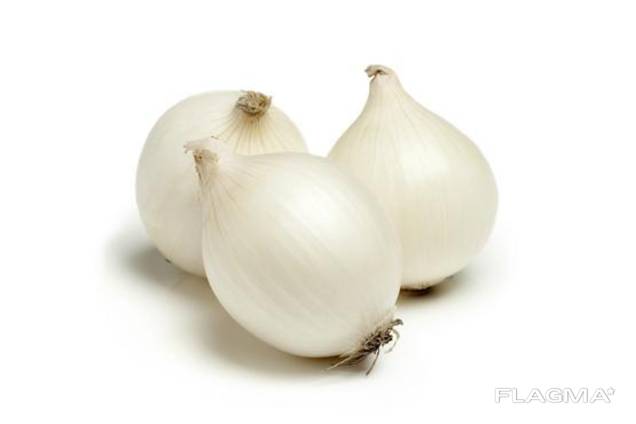 We sell onions (white) .