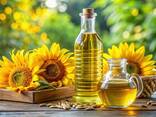 Refined sunflower oil - фото 1