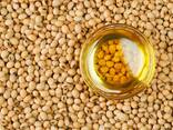 Soybean oil/Soijaöljy - фото 1