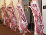 Wholesale supply of frozen pork for sale - photo 1