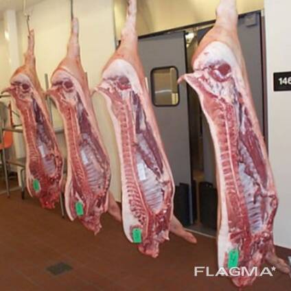 Wholesale supply of frozen pork for sale
