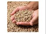 Wood pellet - фото 2
