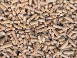 Wood Pellets - фото 2